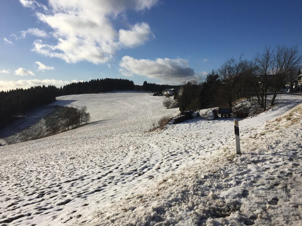 Loft Am Astenkick Winterberg Exterior foto